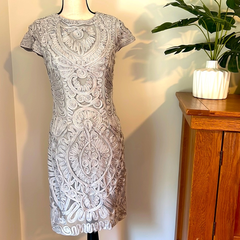 Gorgeous silver gray detailed Shift